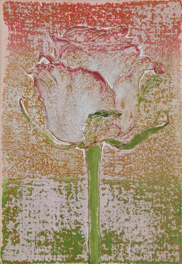 幾つもの星が流れていた