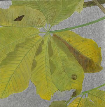 ソコニ在ルモノ