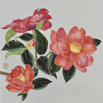 Camellia