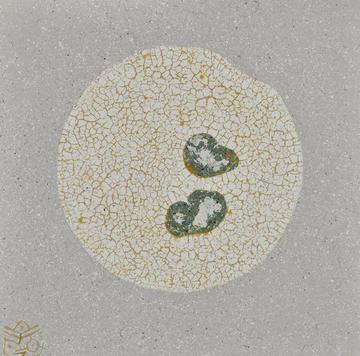 Regeneration and Circulation of the anima Ⅲ