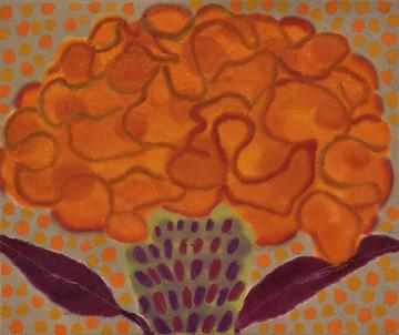 Celosia