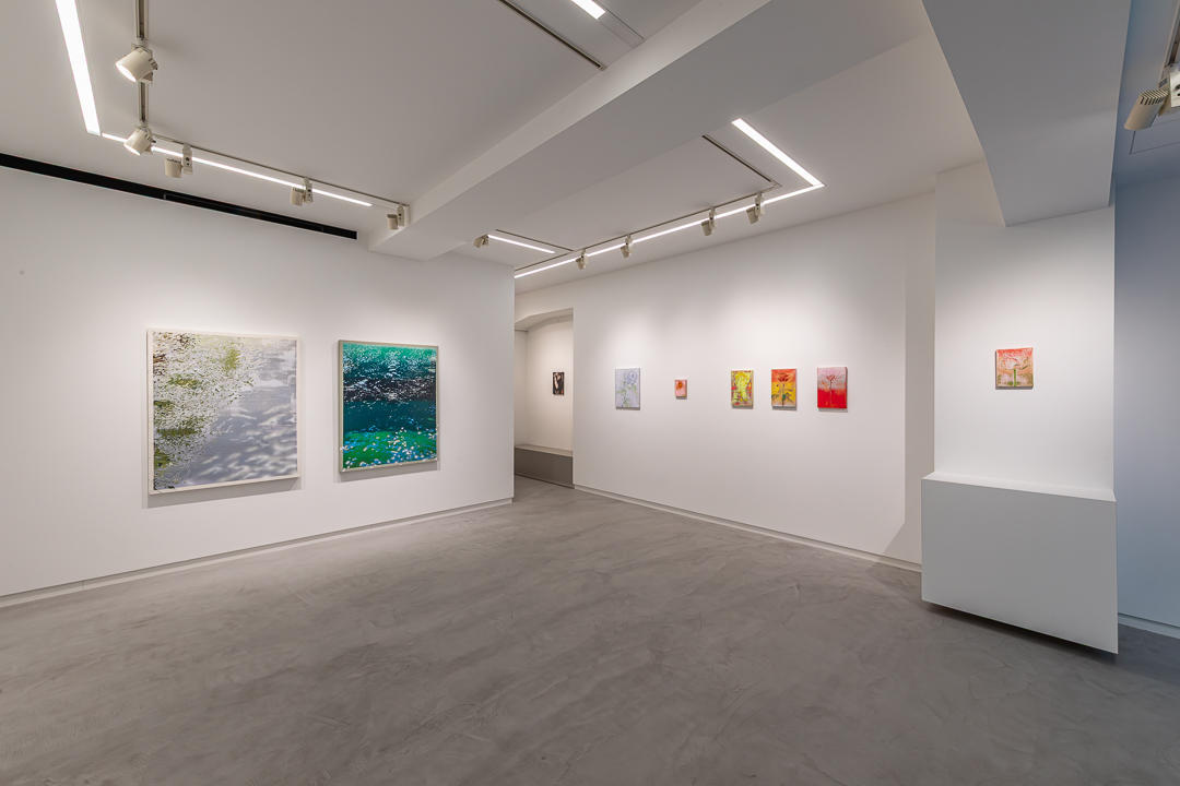 TAKARADA Shogo solo exhibition - mixed media -